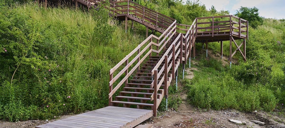 Amager Naturpark P6, P7 & P8
