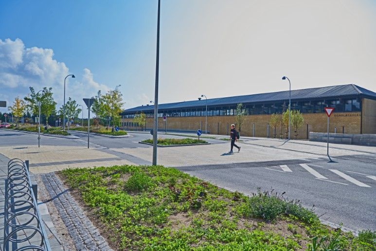 Landskab og anlæg - Engholmskolen Vallensbæk