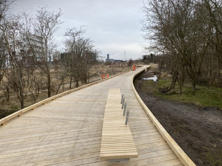 Amager Naturpark P6, P7 & P8