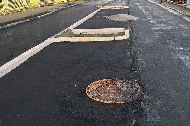 Amager Strandvej - etableret plantebede og heller