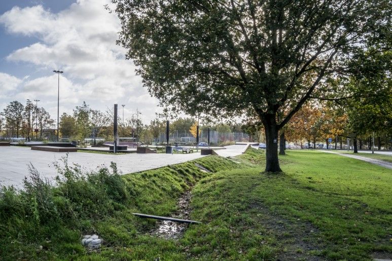 Gentofte Skaterpark fra vandet