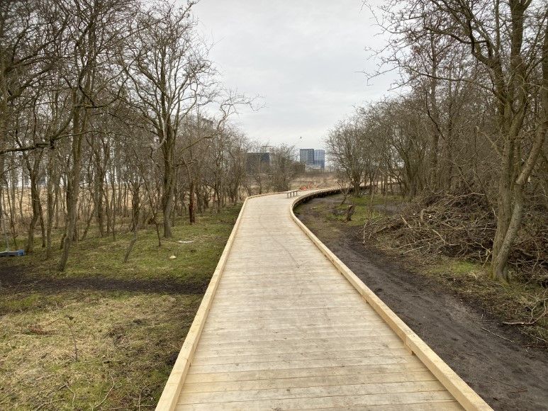 Amager Naturpark P6, P7 & P8