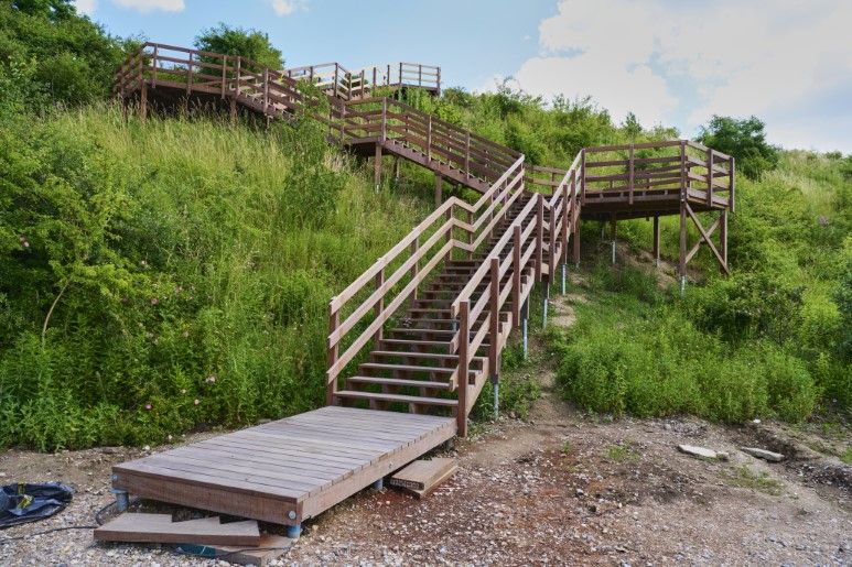 Amager Naturpark P6, P7 & P8